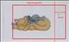 Braided Cording